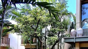 Un patio con plantas tropicales, una jardinera de madera y un edificio con balcón.