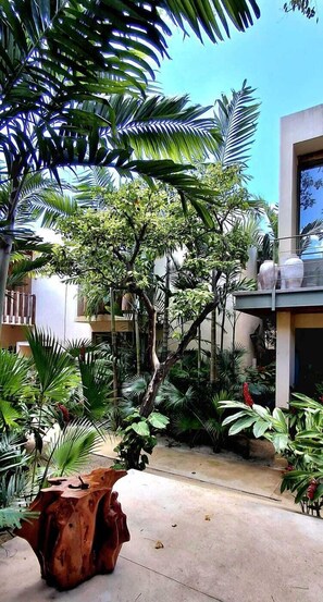 Courtyard - Casa Querida (Mérida)
