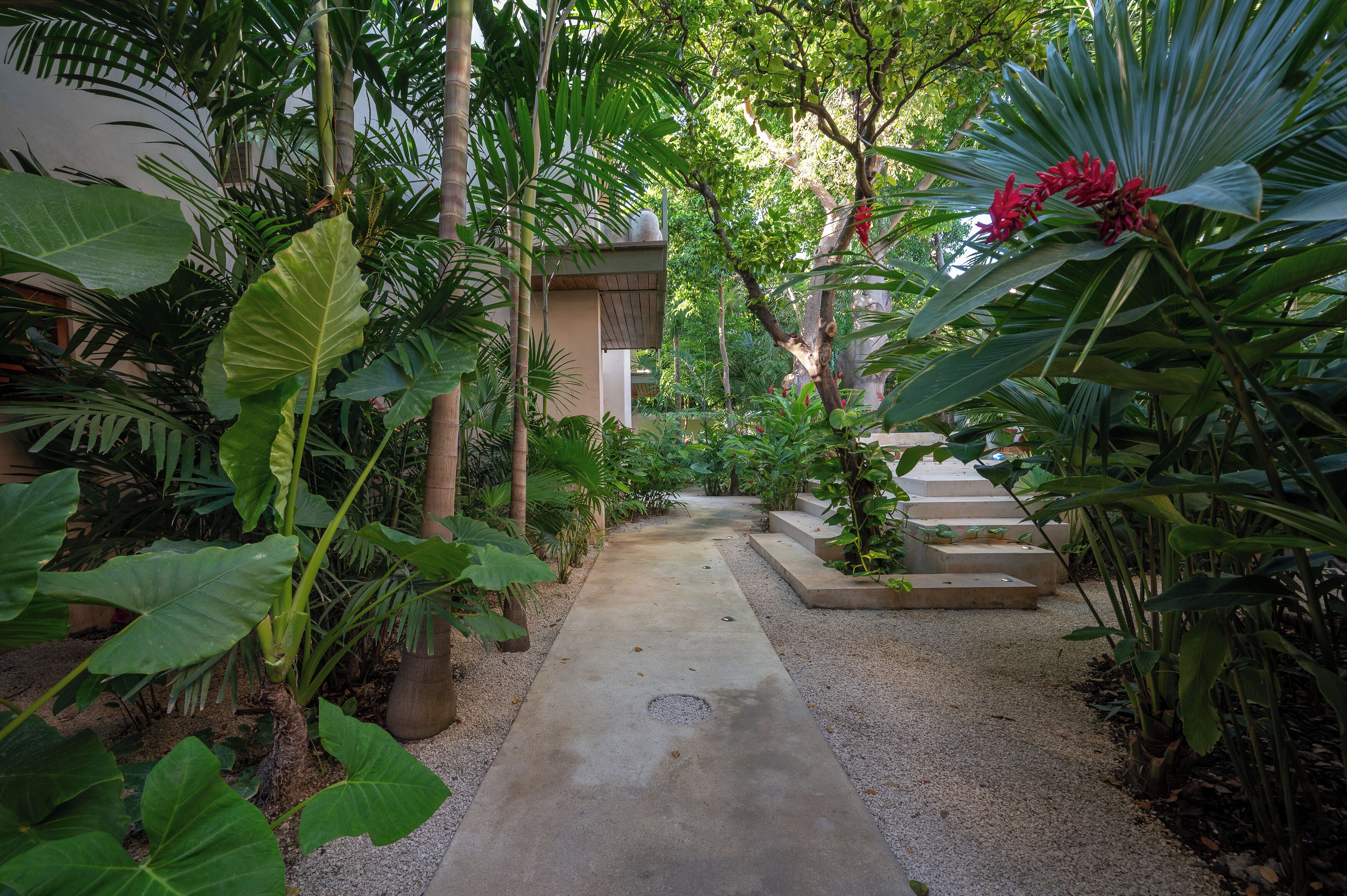 Jardín