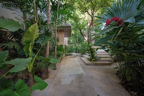Un sendero bordeado de grandes plantas tropicales que lleva a un edificio de diseño moderno.
