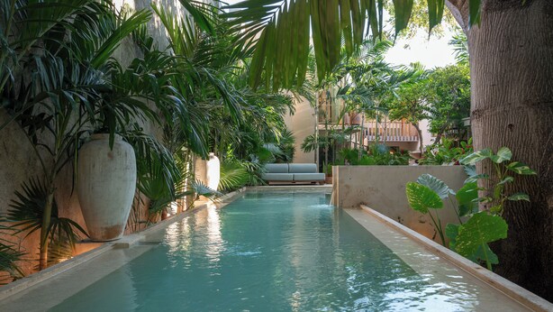 Una piscina interior de forma larga y estrecha, rodeada de abundante vegetación y un área de descanso.