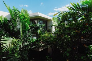 Property grounds - Casa Querida (Mérida)