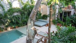 Una piscina rodeada de abundante vegetación, un área de descanso con cojines y diversas plantas.