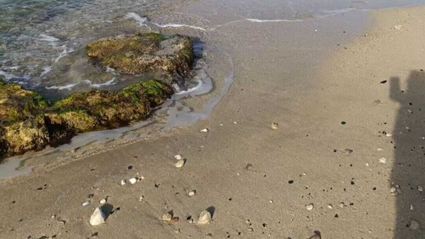 A beach with clear water, rocks, and a sandy shore. - Adonai House (Sicilia)