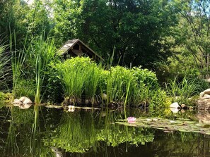Property grounds - New from July: Unique loft by the water lily pond 🌺 Pets ♡ welcome (Hausham)