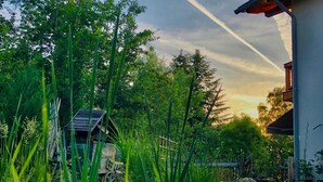 Un jardin paisible avec un étang, entouré d’une végétation luxuriante et agrémenté d’un bâtiment traditionnel doté d’un toit en pente.