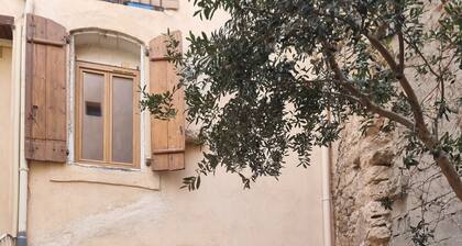 Studio rénové cocoon avec cour privative en hyper centre de Béziers