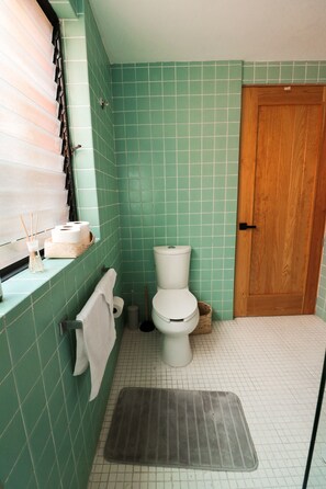 Eco-friendly toiletries, hair dryer, towels, soap