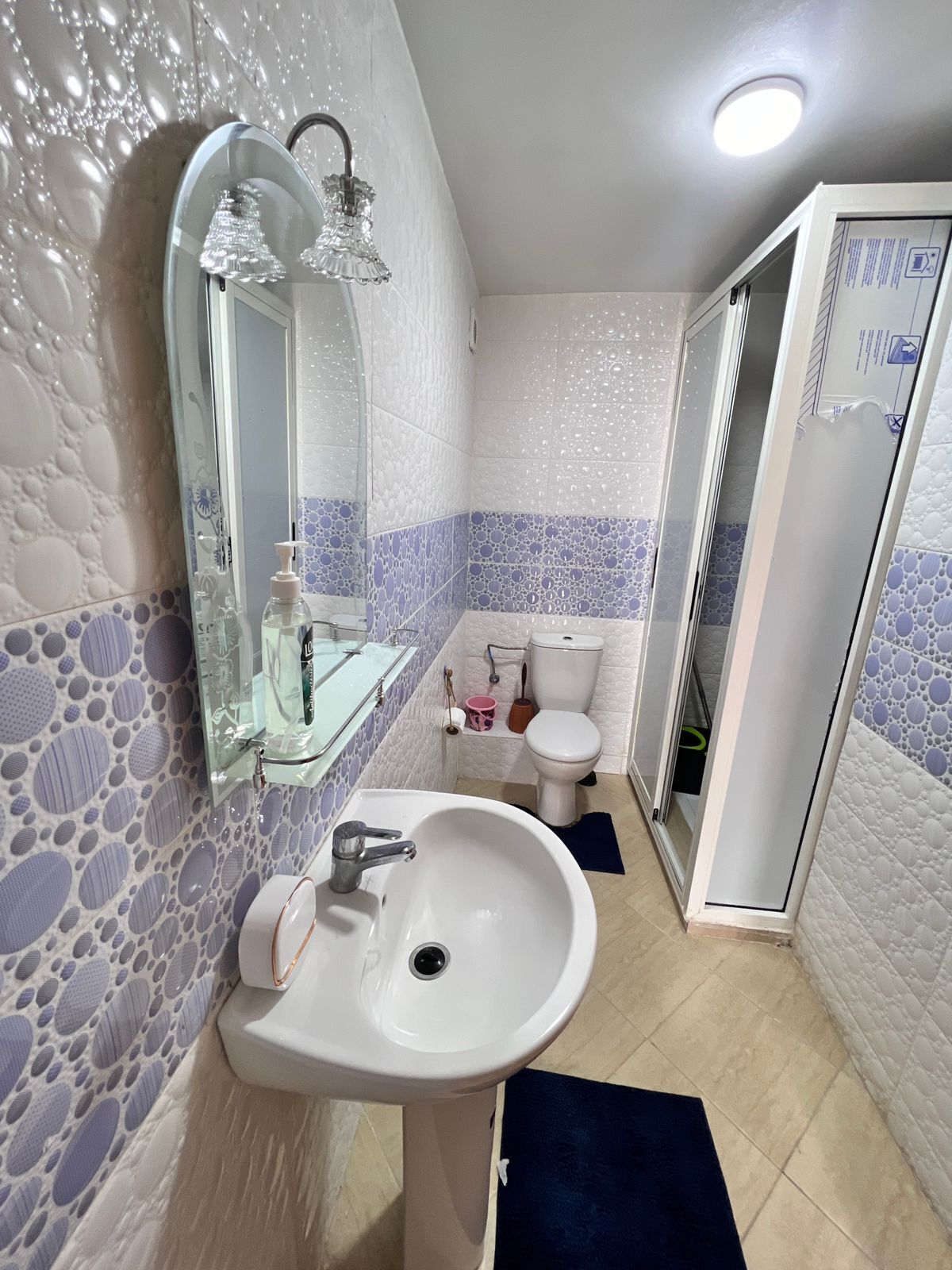 シャワー、石鹸、トイレットペーパー