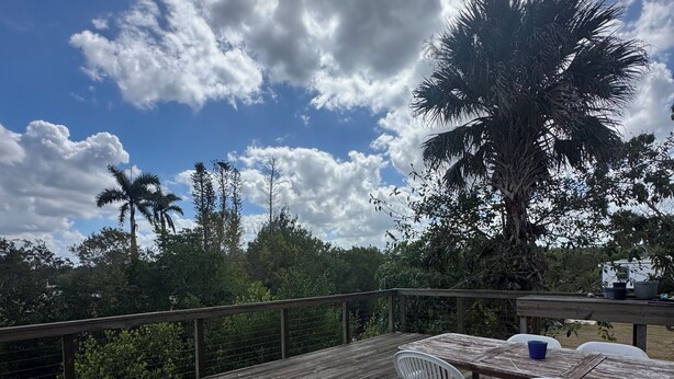 Eine Holzterrasse mit Tisch und Stühlen, umgeben von üppiger Vegetation und Palmen unter einem teils bewölkten Himmel.