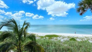 Ein Strand mit Palmen und blauem Himmel.