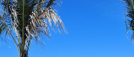 على الشاطئ