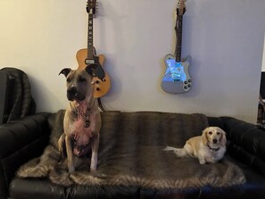 Interior - Charming Studio in West Hollywood off Sunset Boulevard by Chateau Marmont. (West Hollywood)