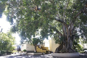 Property grounds - Hotel La Loma Tepic (Tepic)