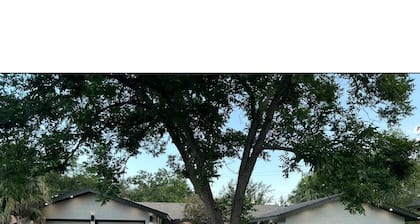 NuSpace:Beautiful 3-BR 2 Bath - house with AC/Heat & Sunroom in fabulous Weslaco