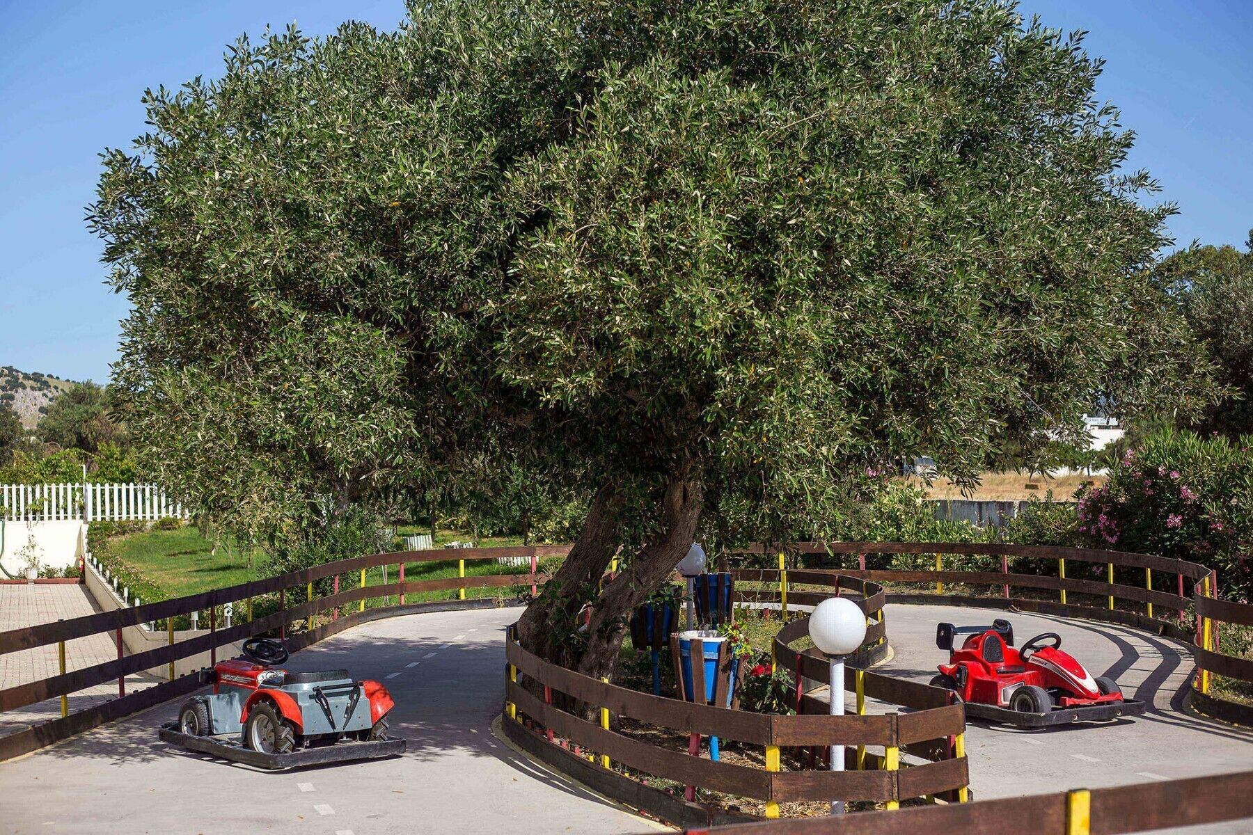 Eine Go-Kart-Bahn mit einem großen Baum in der Mitte, umgeben von Holzzäunen und blauem Himmel.