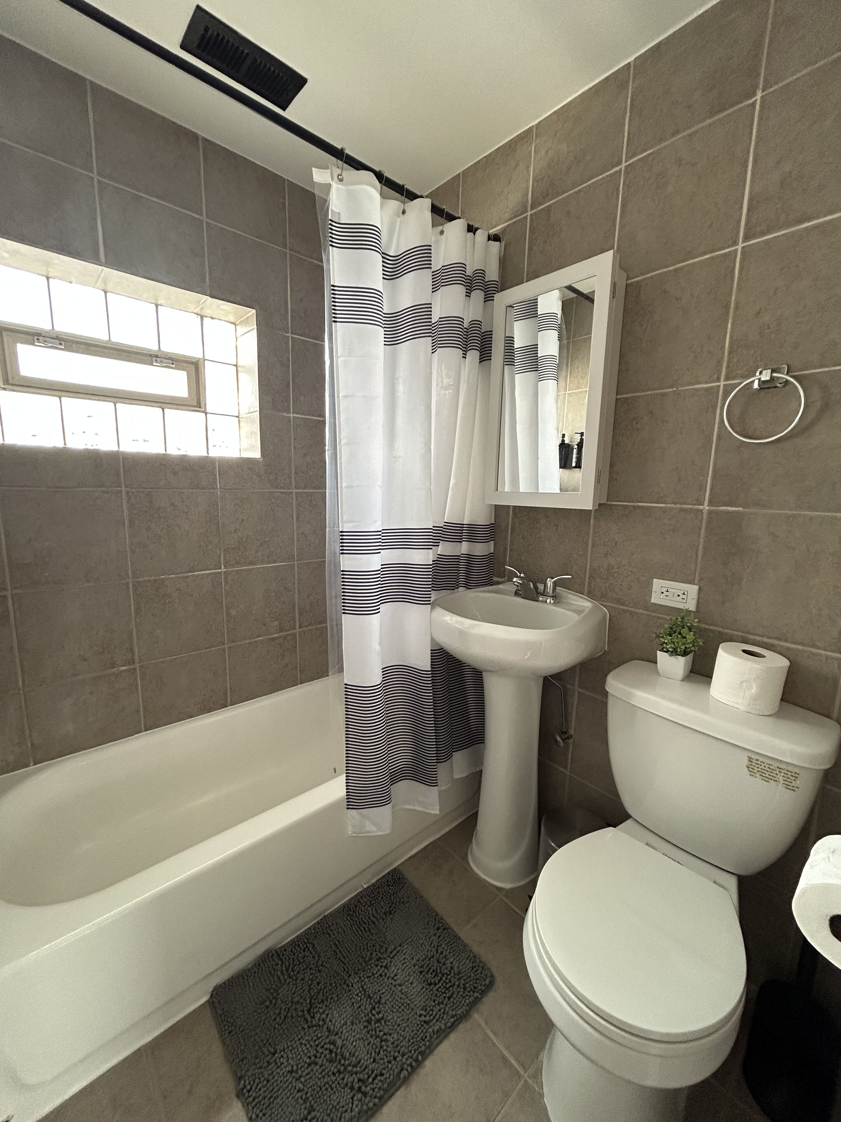 Hair dryer, towels, soap, shampoo