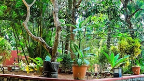 A stone pathway leading to a garden with potted plants and a rustic wall. - Home City Homestay & Ayurvedic Clinic  (Kovalam)