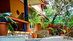 A courtyard with potted plants, a stone wall, and a tiled floor. - Home City Homestay & Ayurvedic Clinic  (Kovalam)
