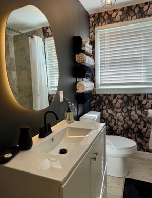 Hair dryer, towels, soap, toilet paper