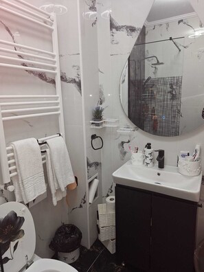 Dusche, Haartrockner, Handtücher, Seife