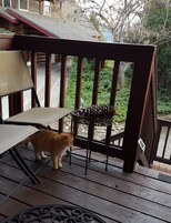 Double Room, 1 Queen Bed, Mountain View | Property grounds