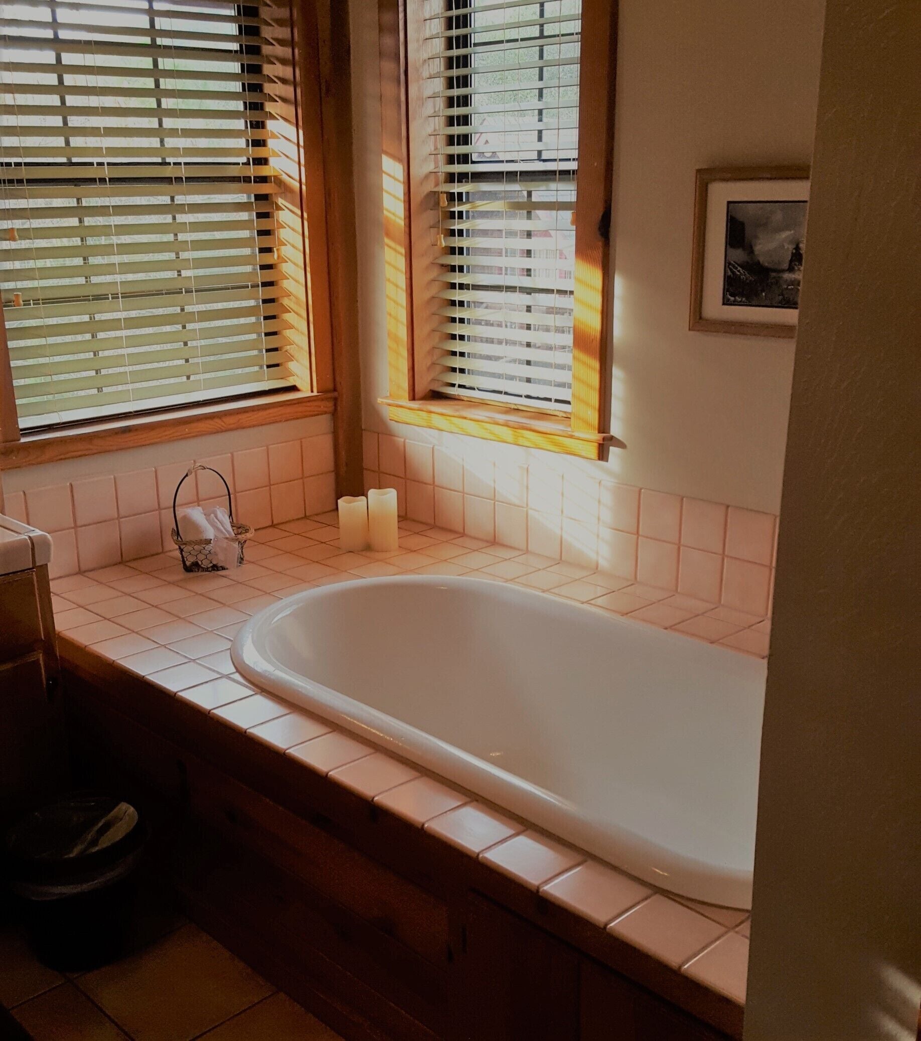 A bathroom with a bathtub, two windows with blinds, a framed picture on the wall, and a towel rack with a towel and a tissue box.