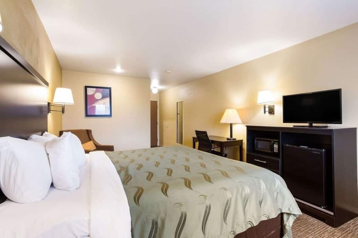 A hotel room with a bed, a desk, a television, and a microwave.