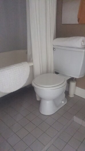 Dusche, Haartrockner, Seife, Toilettenpapier