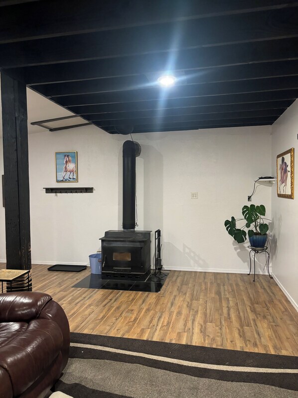 A room with a black wood-burning stove, a brown leather couch, a potted plant, and a framed picture on the wall.