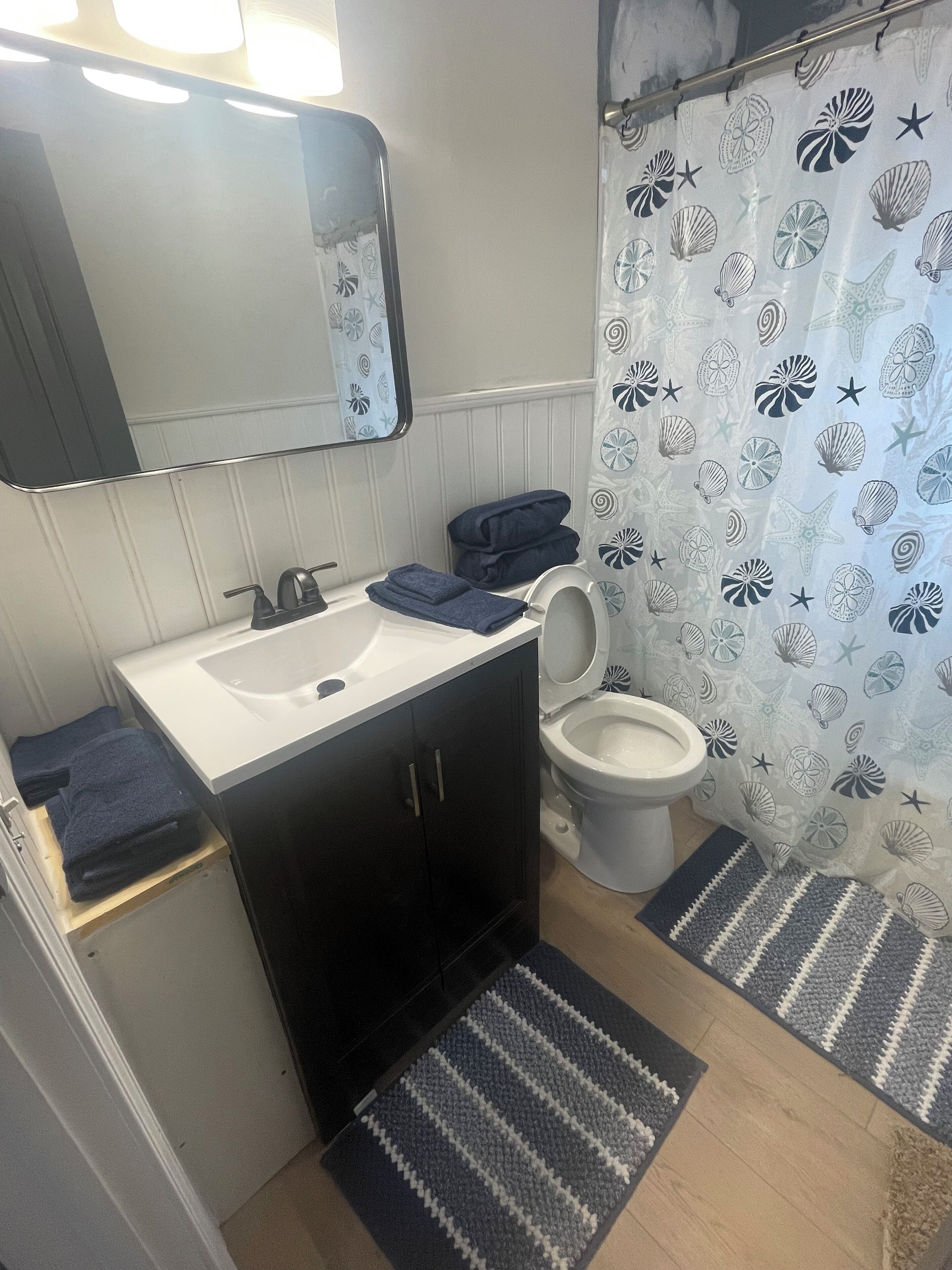 Sèche-cheveux, serviettes fournies, savon, papier toilette