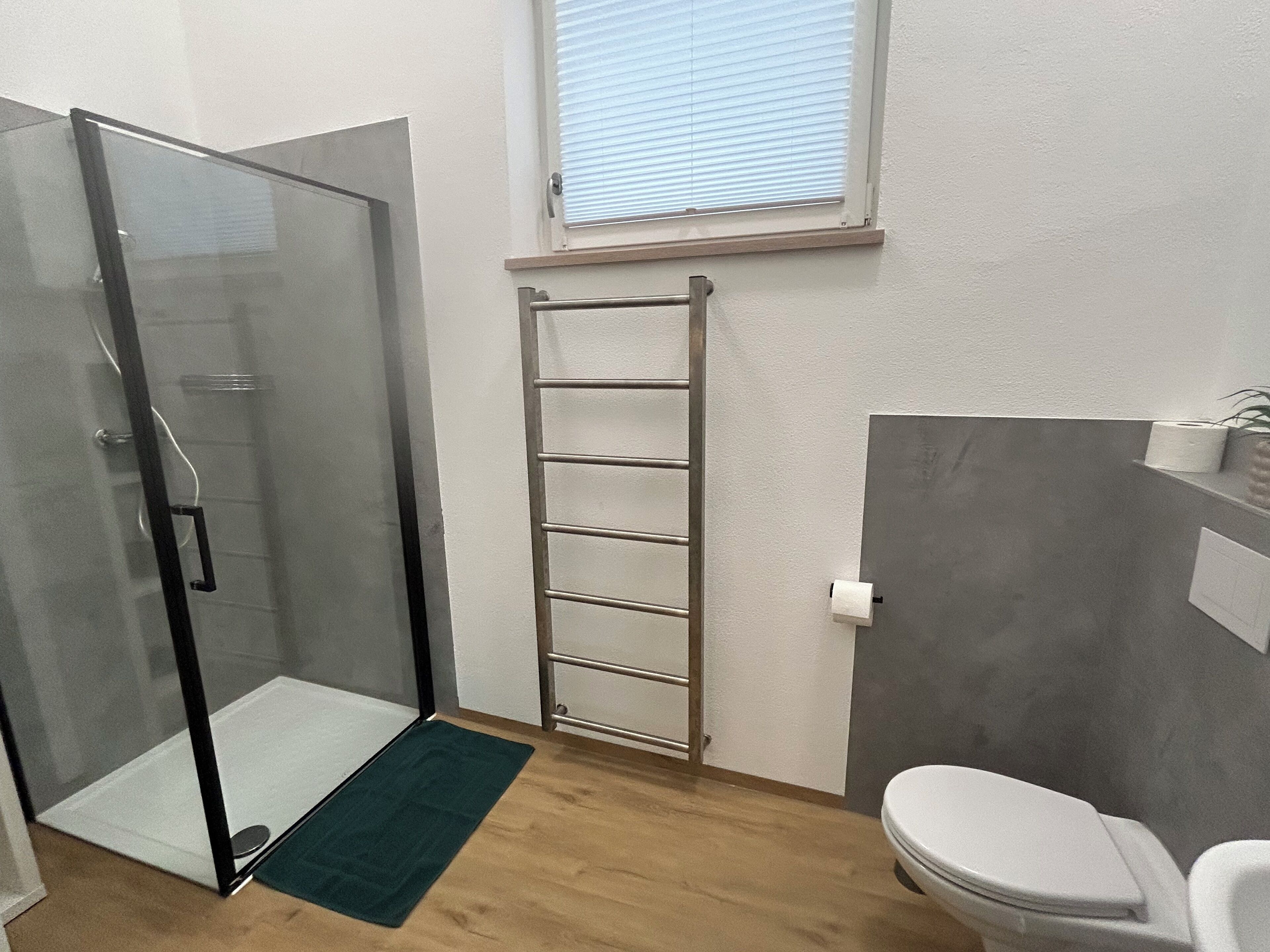 A bathroom with a glass shower enclosure, a wooden floor, a green mat, a towel rack, and a toilet.