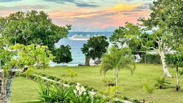 A lush garden with a view of a cruise ship on the water.