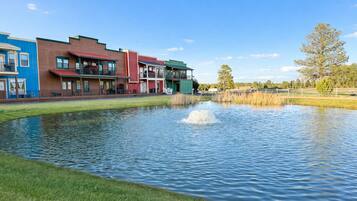 A waterfront property with a pond, a row of colorful buildings, and a grassy area.