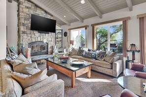 Smart TV, fireplace, DVD player, books