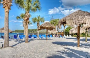 Ein Strand mit Reetdachschirmen, Palmen und Liegestühlen.