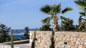 Un muro di pietra con una palma in primo piano e vista sul mare e sulle montagne sullo sfondo.