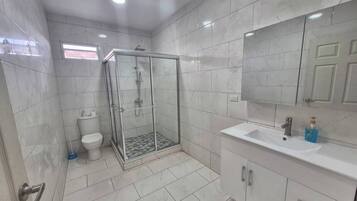 Shower, towels, toilet paper