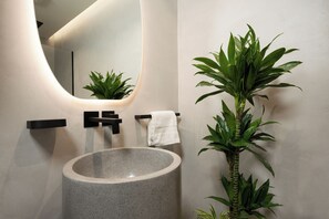 Regadera, secadora de cabello, bidet, shampoo 