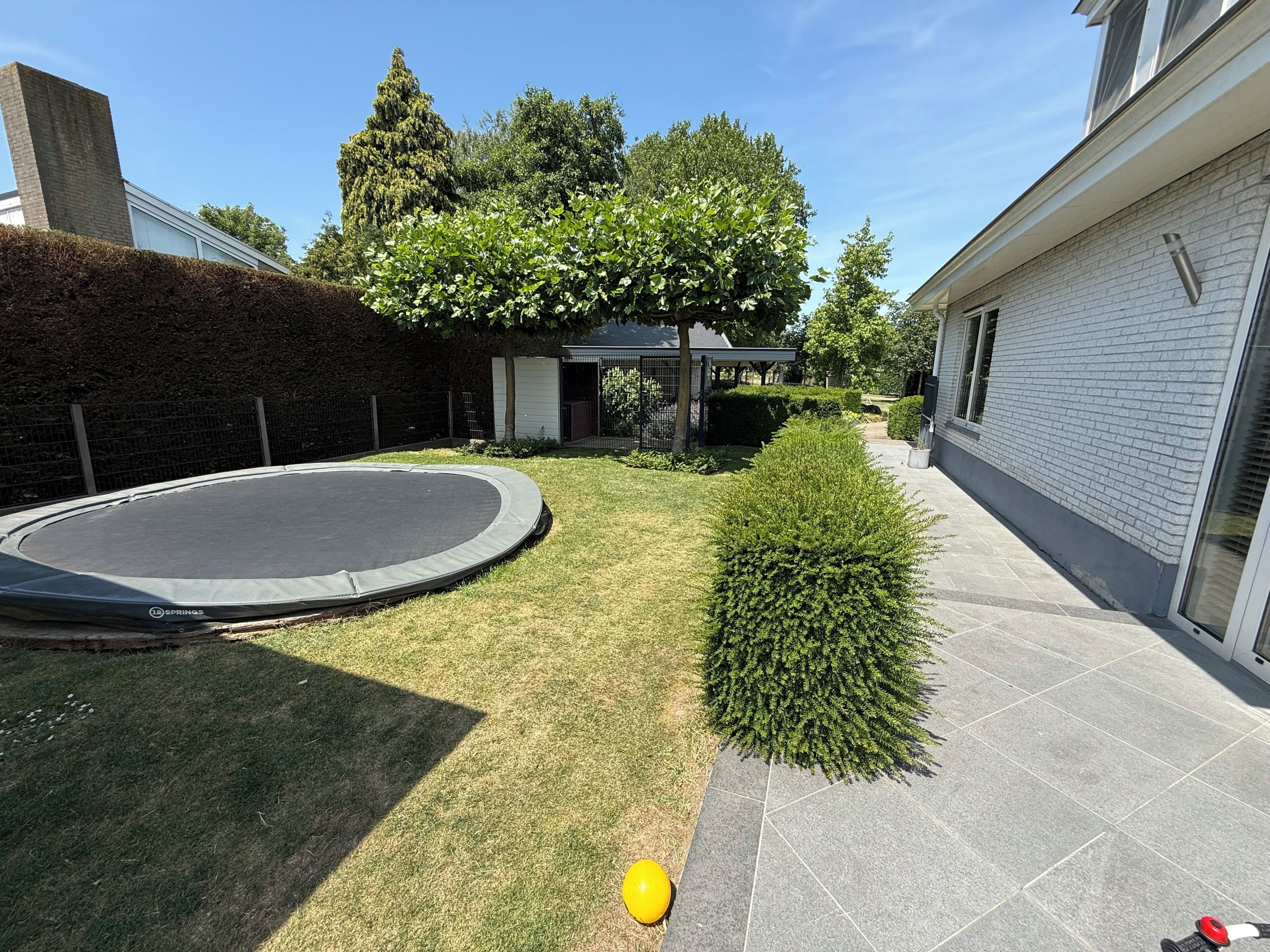 テラス / パティオ