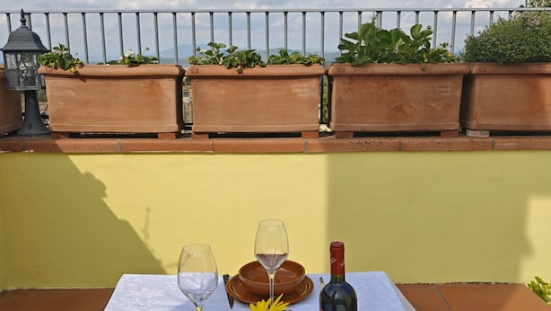 Une table dressée avec des assiettes, des verres à vin et une bouteille, avec une plante en pot et une lanterne en arrière-plan.