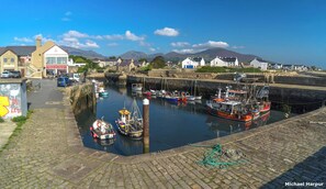 Marina - Oaktree Manor at the foot of the Mourne Mountains, games rooms & pet friendly (Ballyward)
