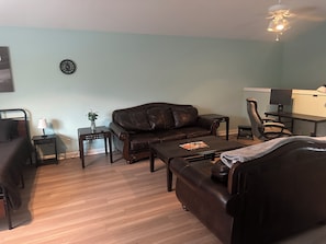 Smart-TV, Computerbildschirme