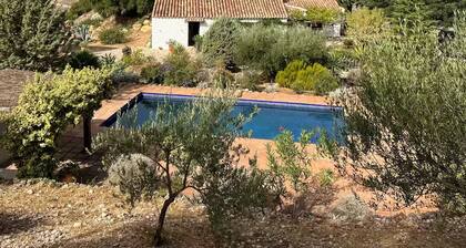 Cozy Paradise in Andalucia