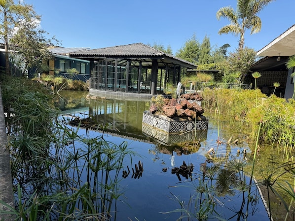 A tranquil garden with a pond, a gazebo, and a modern building with large windows.