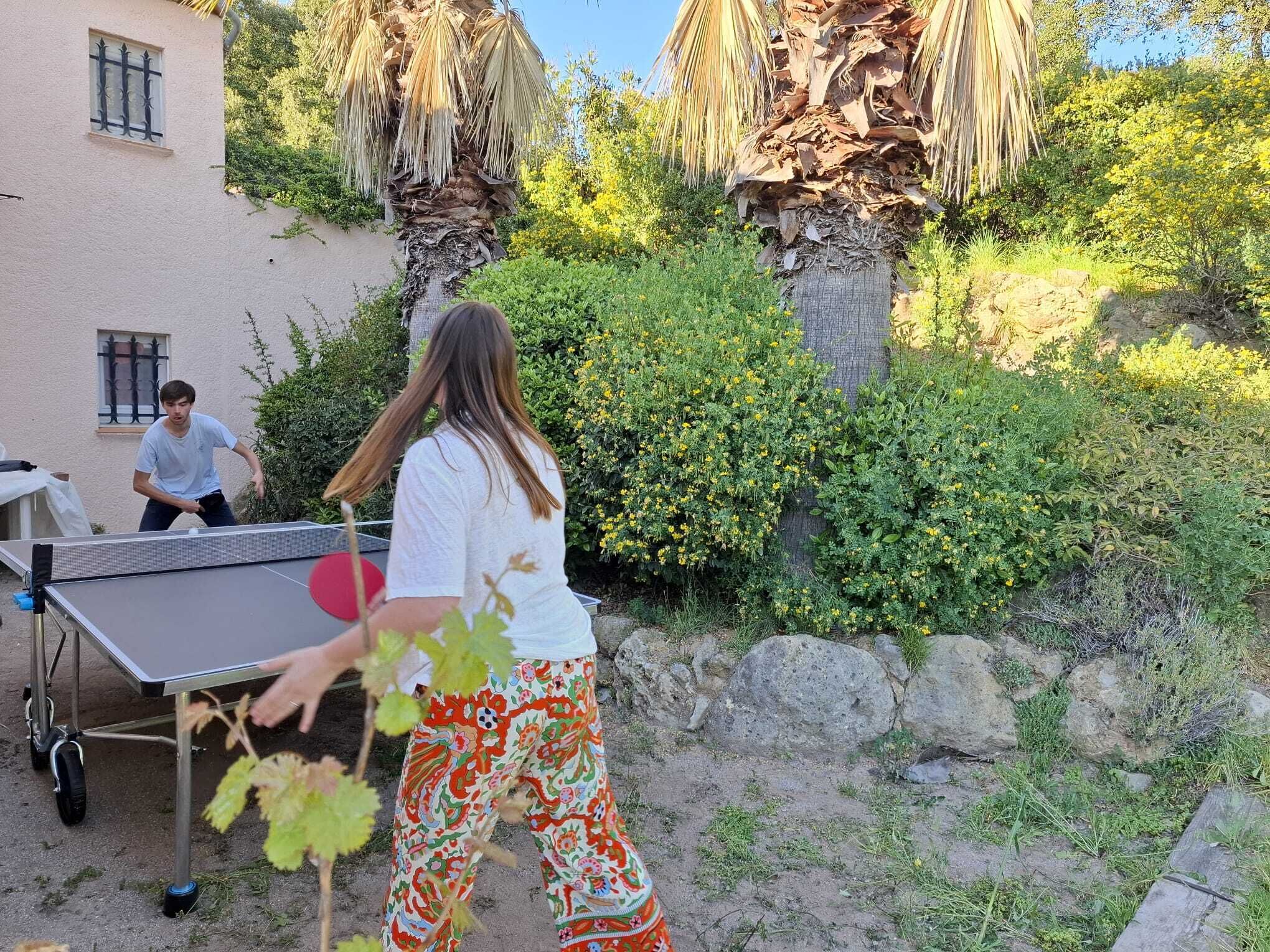 Una mesa de ping pong al aire libre instalada en un jardín, con una casa al fondo.