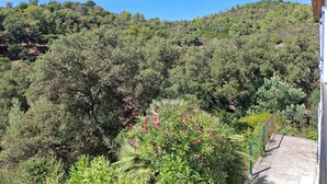 Un paisaje montañoso cubierto de vegetación densa y un edificio con techo inclinado.