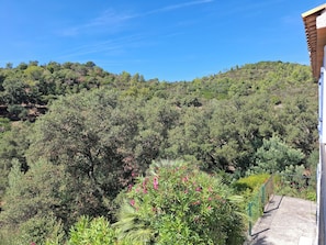A hillside with dense greenery and a building with a sloped roof.