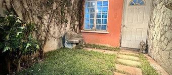 Charming 1-bedroom building in vibrant Ciudad de Guatemala