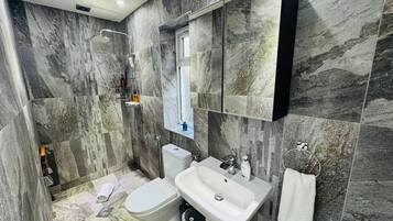 Shower, towels, soap, toilet paper